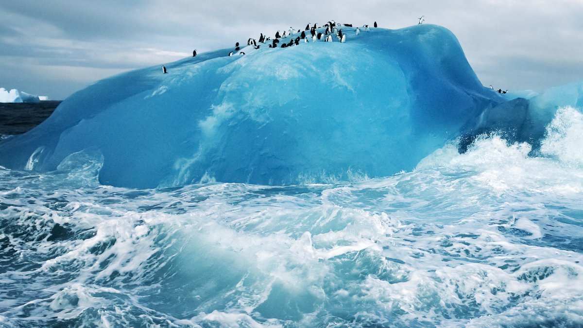 Iceberg Ice 10