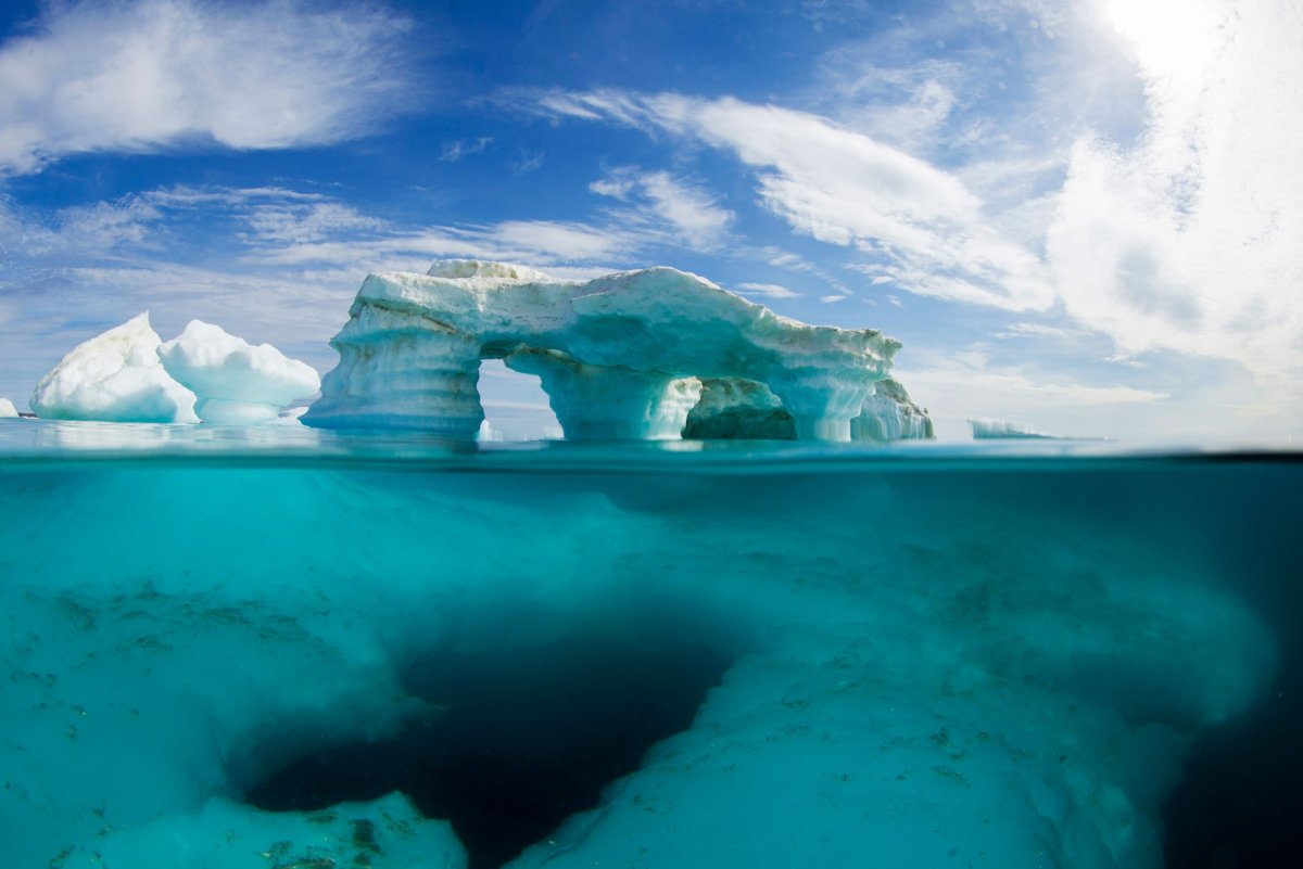 Frozen Sea