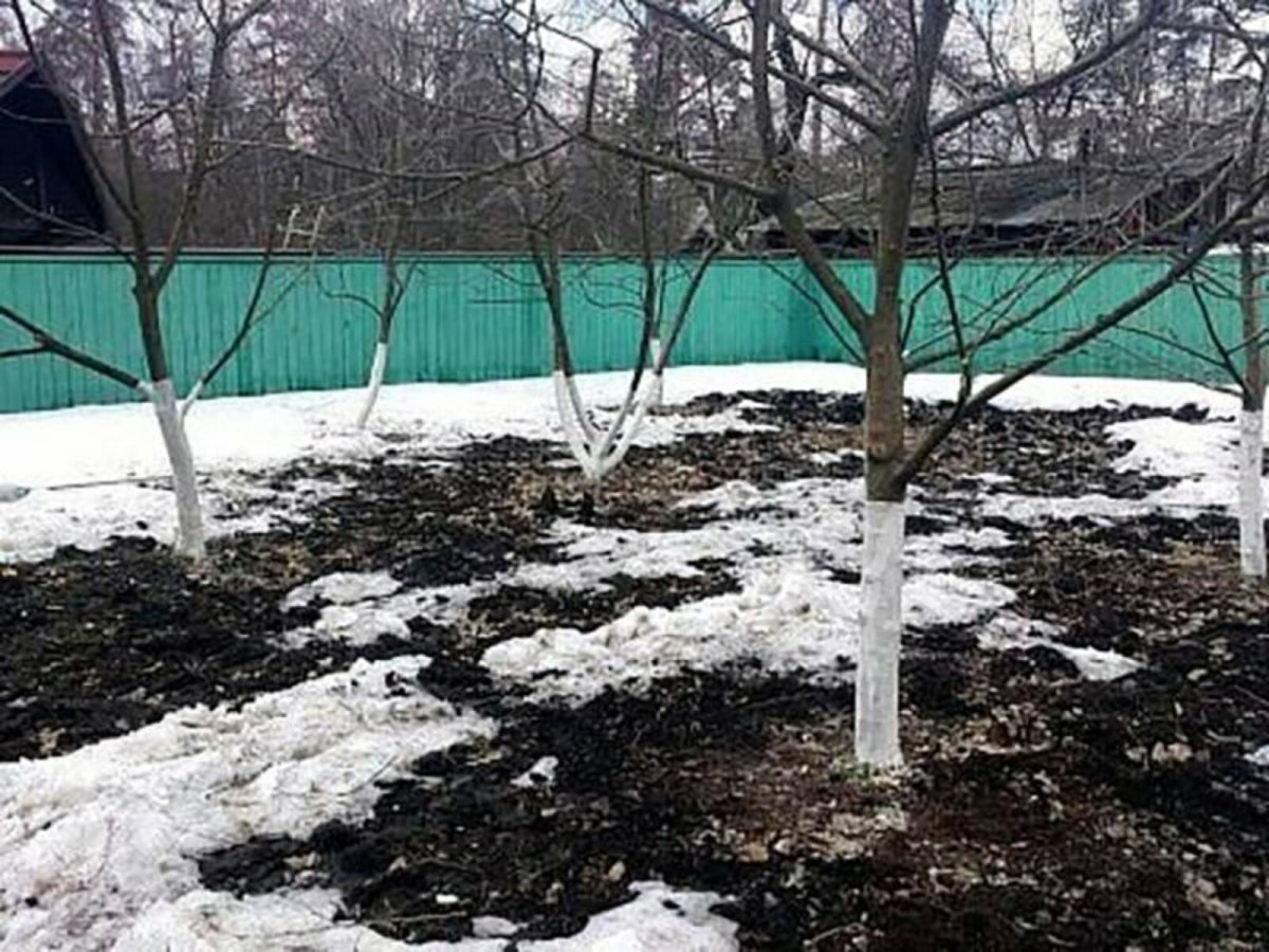 Огород ранней весной