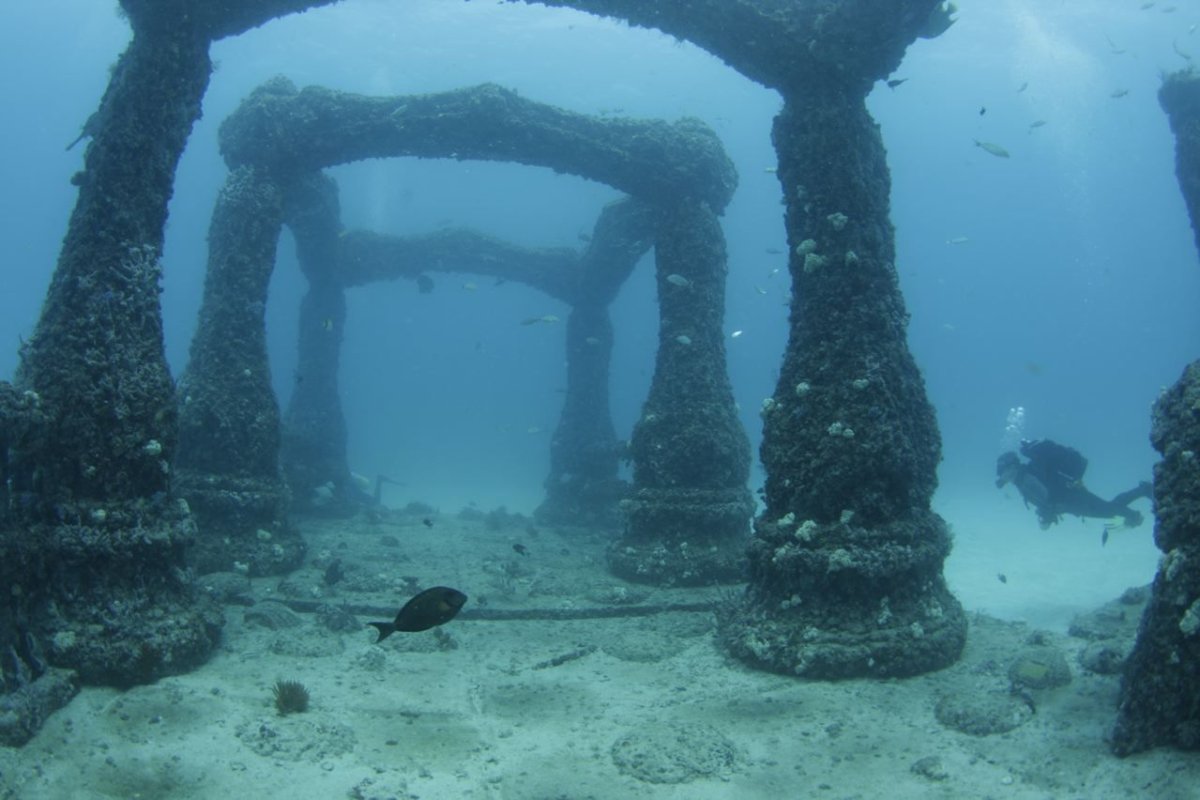 Дом на дне океана. Подводное кладбище Neptune Memorial Reef. Кладбище дайверов подводный риф Нептуна. Мемориальный риф Нептуна (Neptune Memorial Reef), США. Мемориальный риф Нептуна (Майами, Флорида).