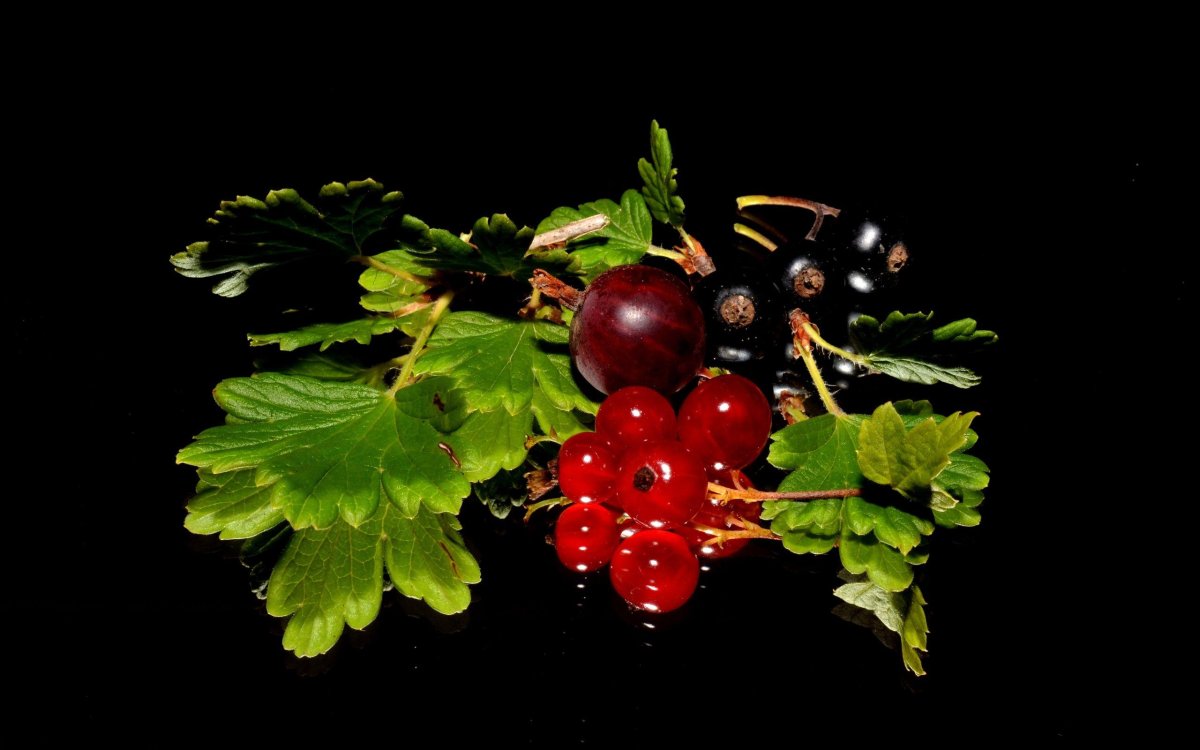 Красная, черная смородина и крыжовник