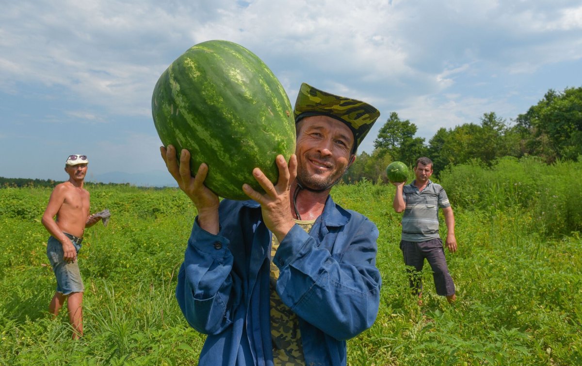 Село Адзюбжа Абхазия