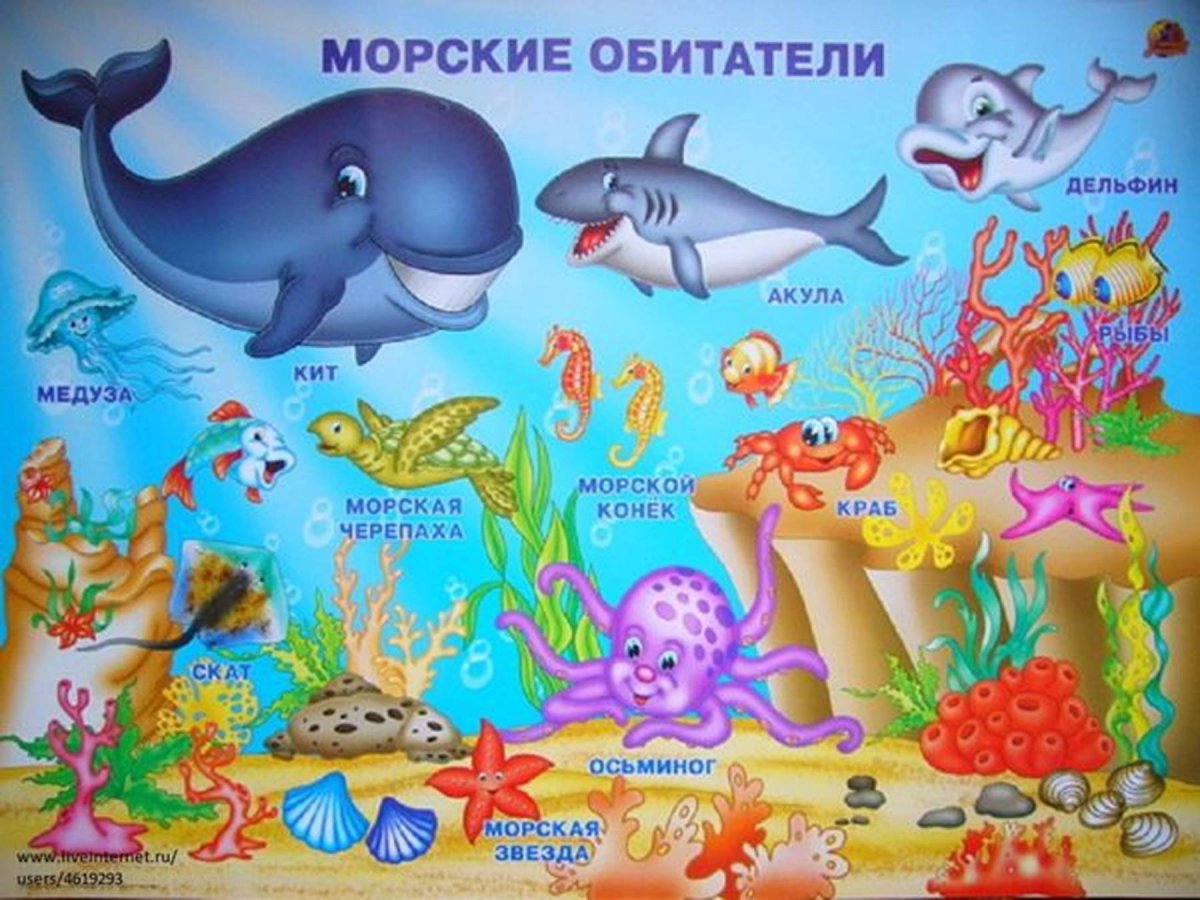 Обитатели моря для детей