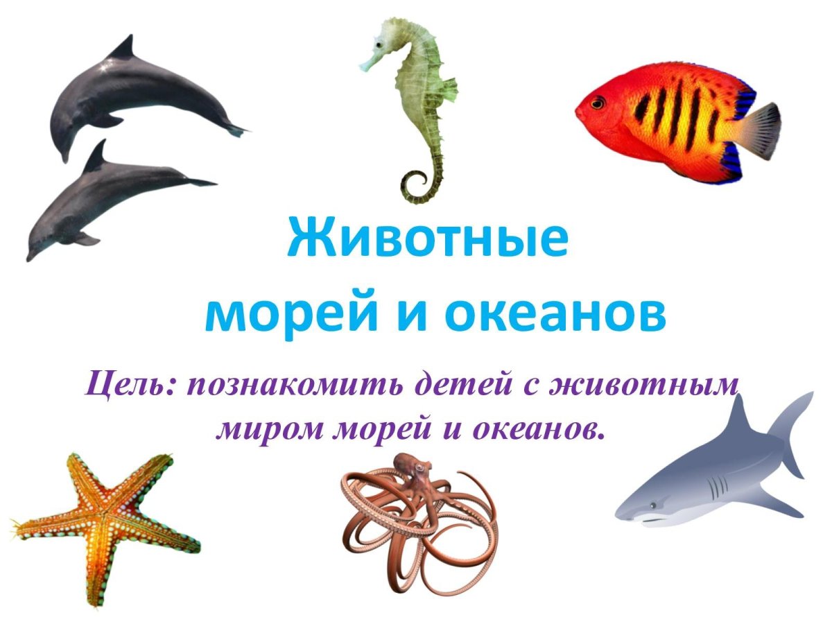 Обитатели морей и океанов для детей