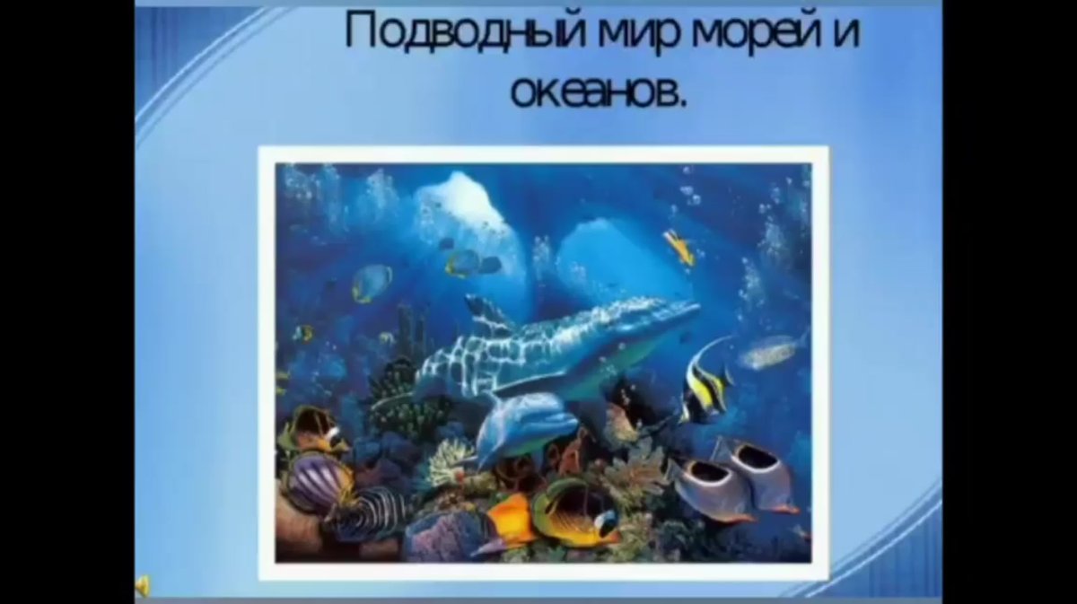 Тема презентация морской мир