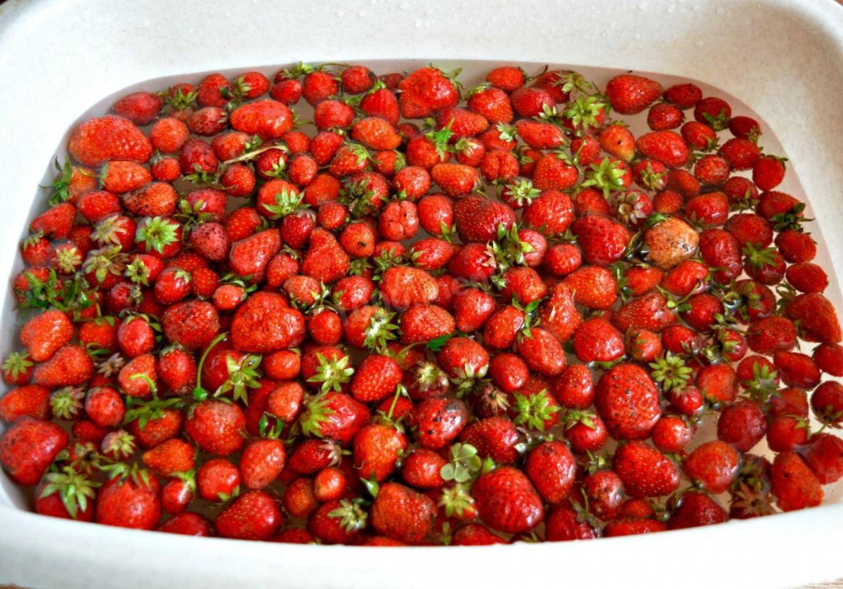 Сезон земляники