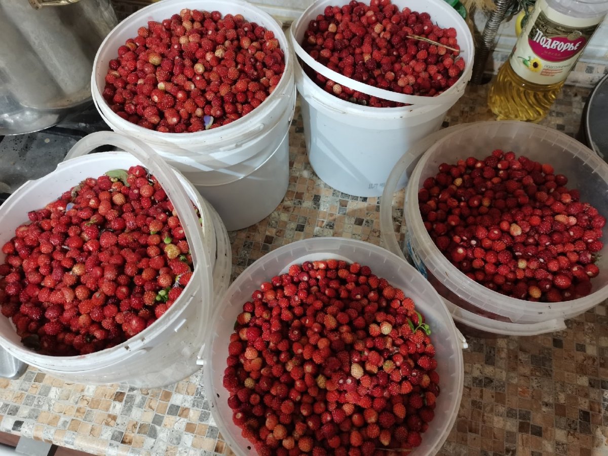 Клубника и орехи