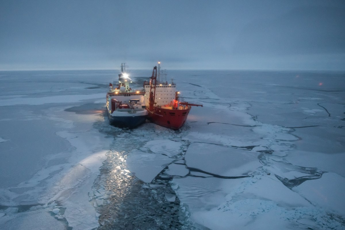 Polarstern ледокол