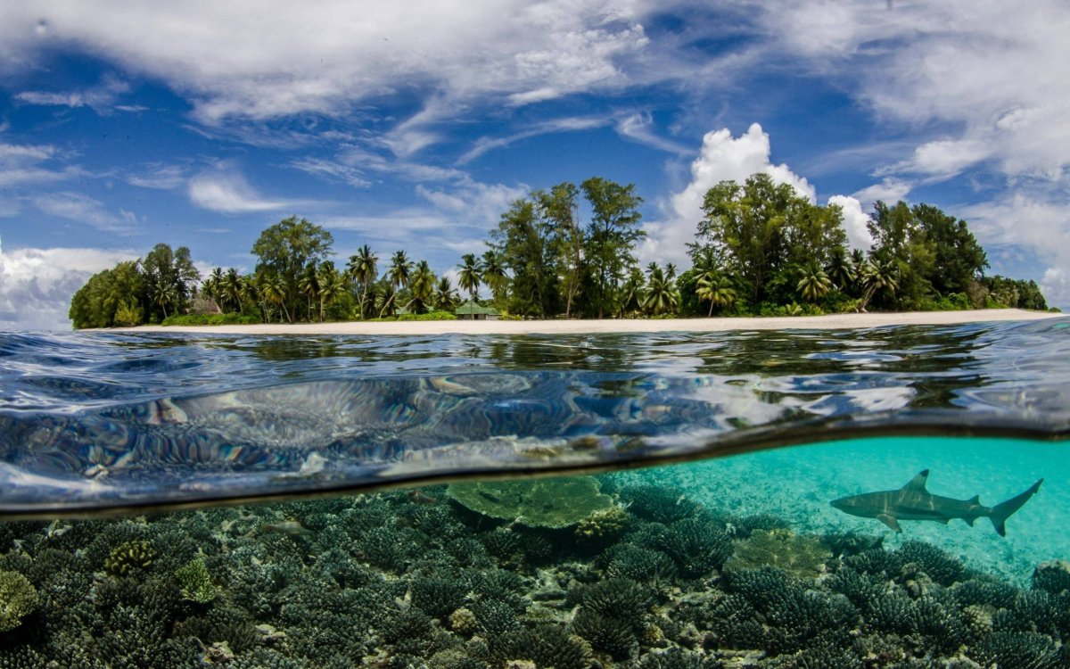 Прозрачное море