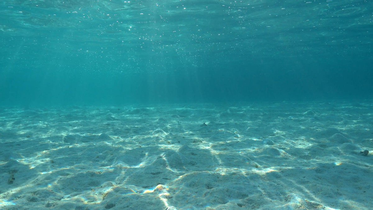 Дно под водой