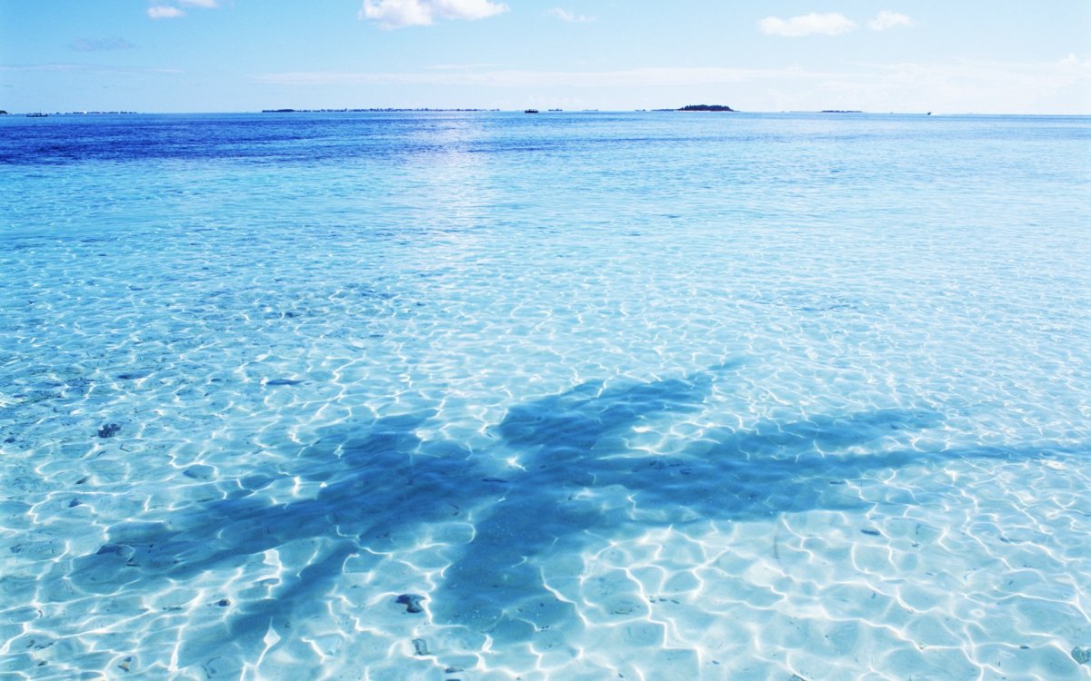 Море вода