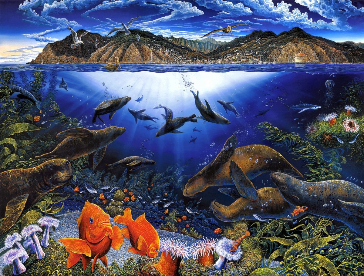 Морское дно