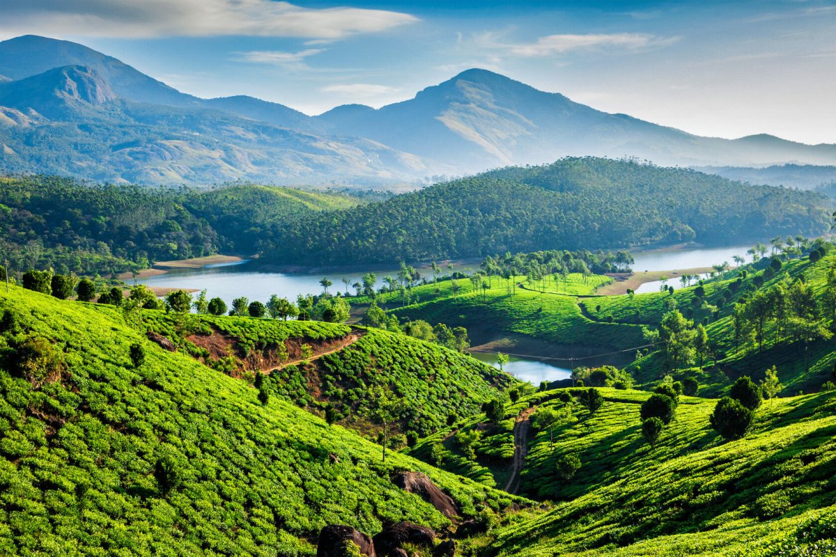 Муннар (Munnar), Индия