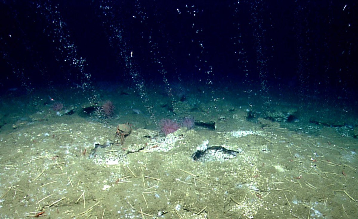 Глубоководное Морское дно