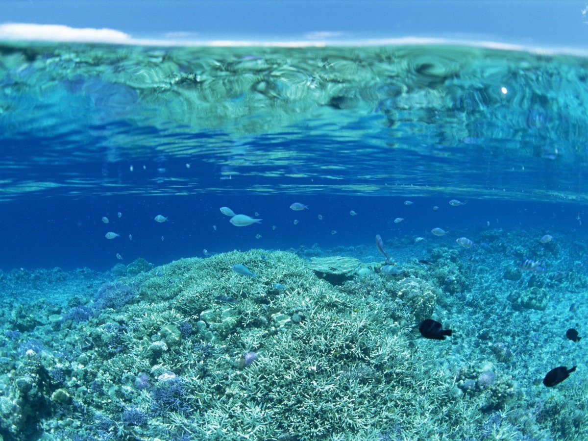Море под водой
