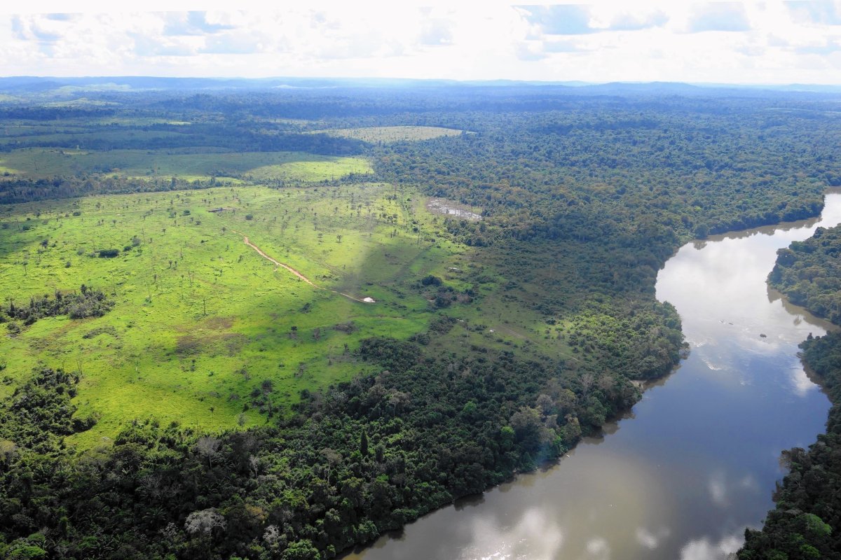 Amazon Rainforest deforestation