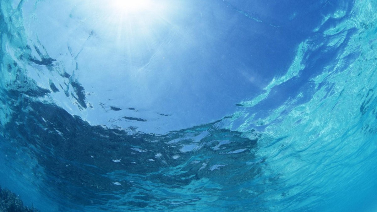Море под водой