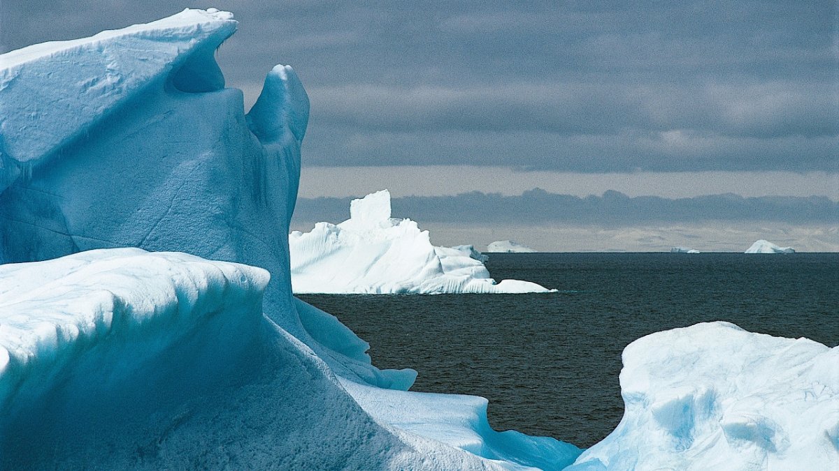Антарктида Мороз