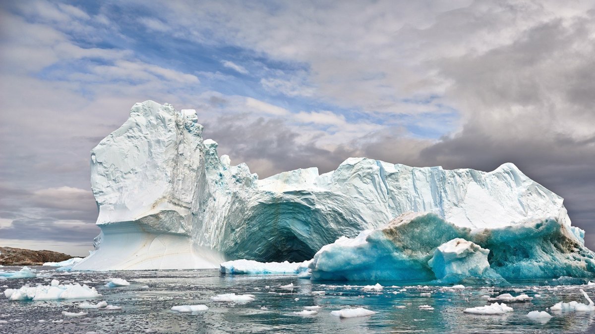 Cierva Cove, Антарктида