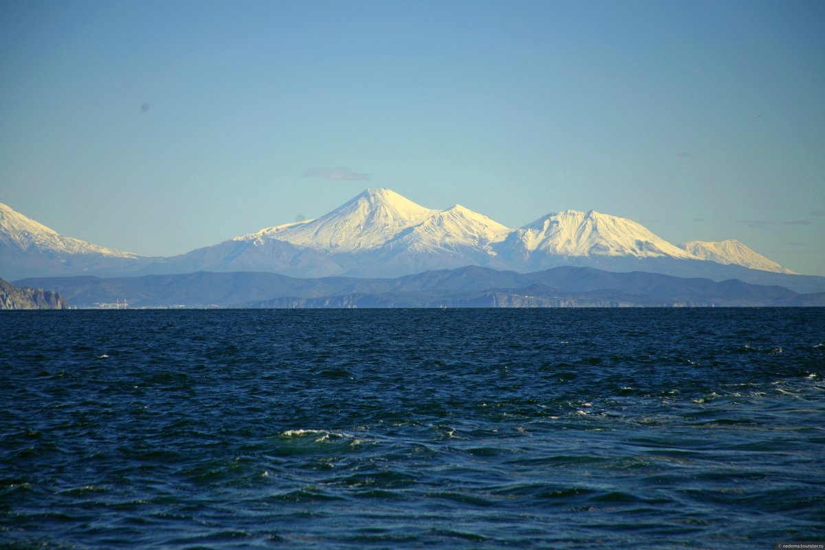 Камчатка волны