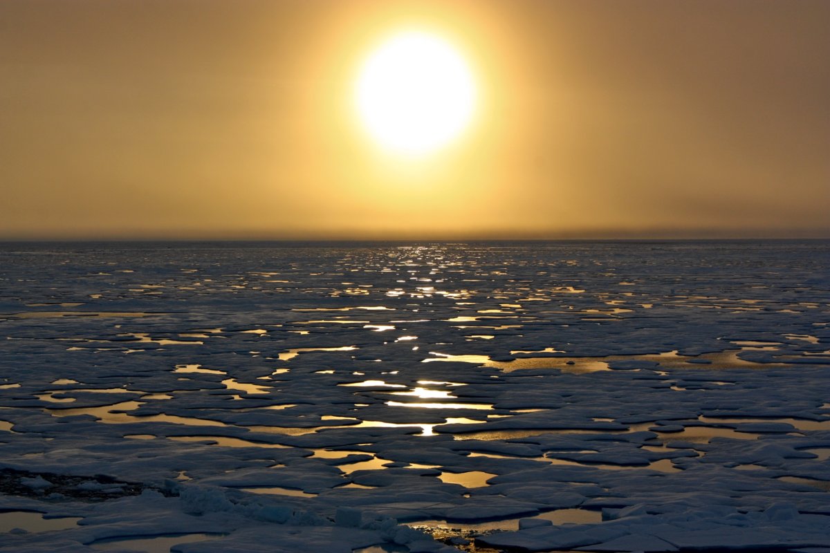Северный Ледовитый океан Берингово море
