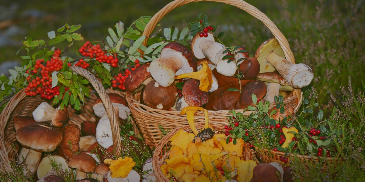 Корзинка с грибами и ягодами