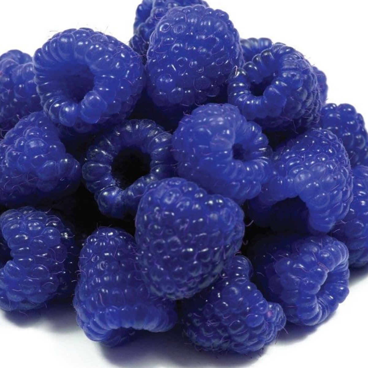 Rubus leucodermis голубая малина