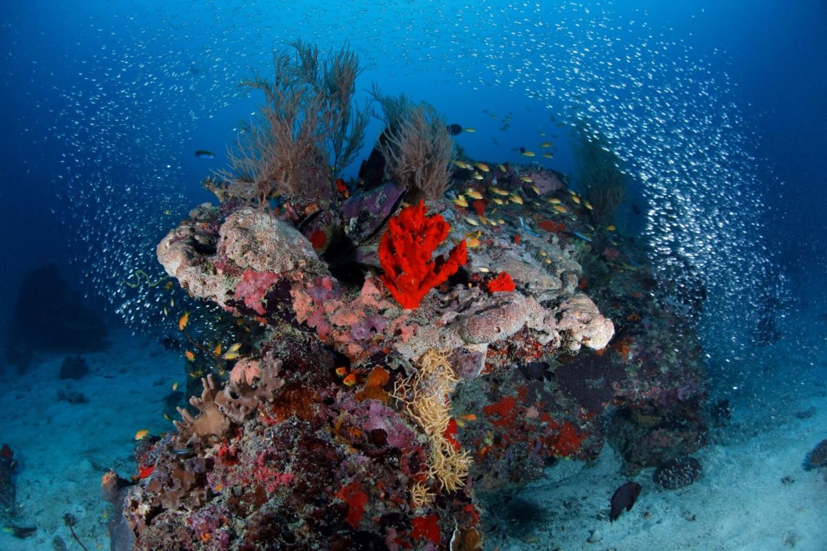 Красное море Дахаб