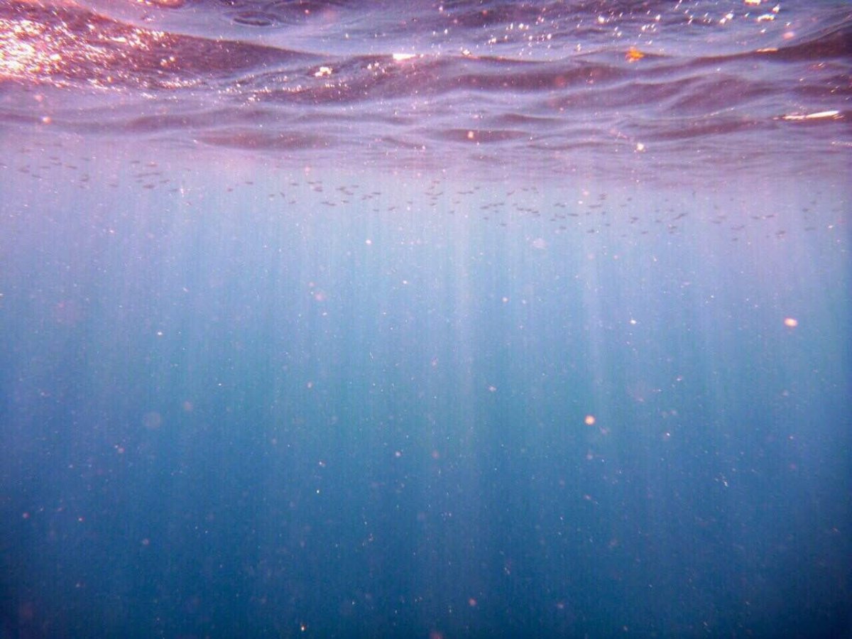 Эстетика океана под водой