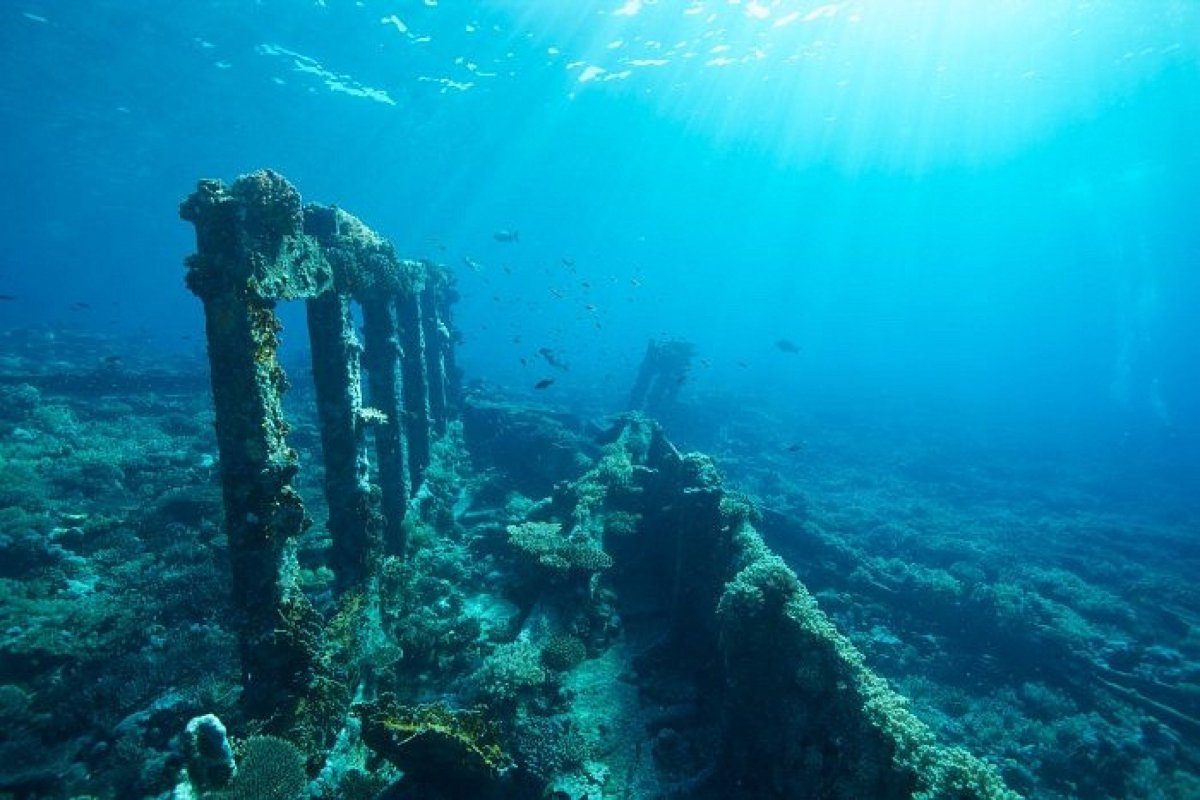 Морское дно