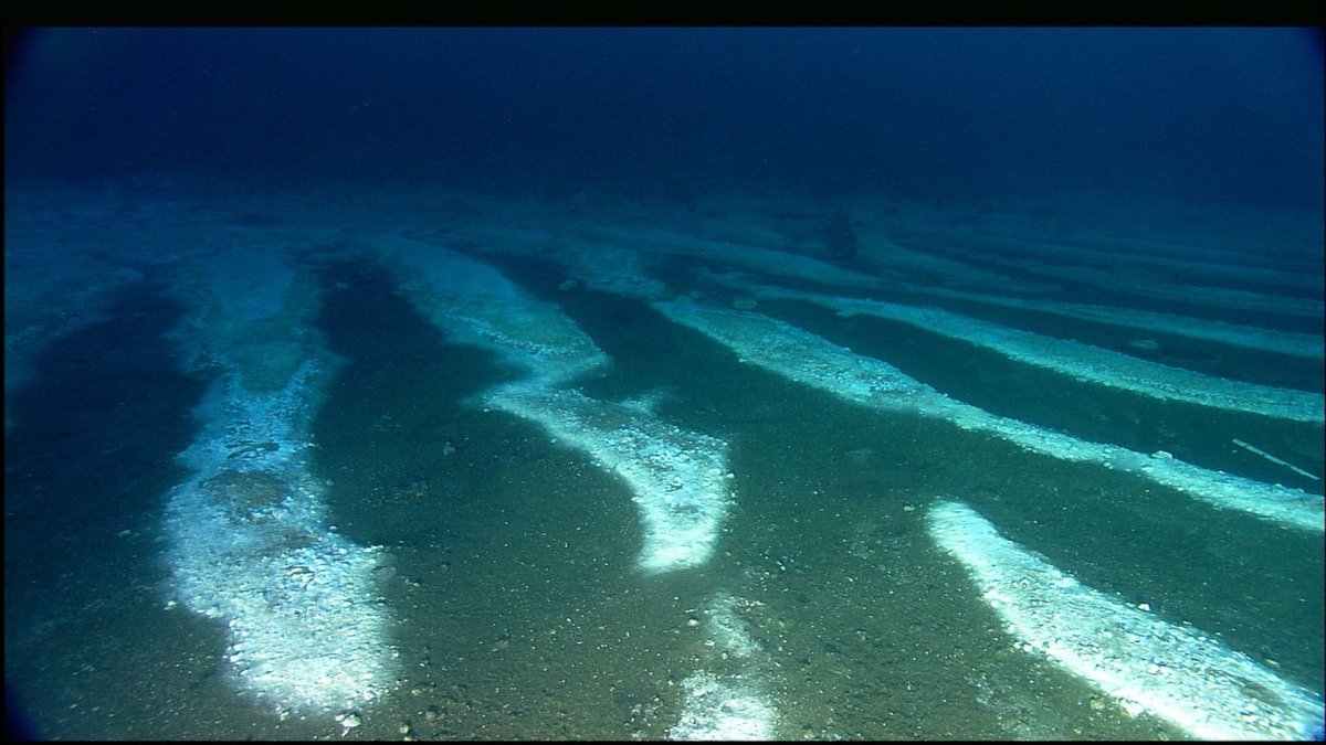 Морские наносы