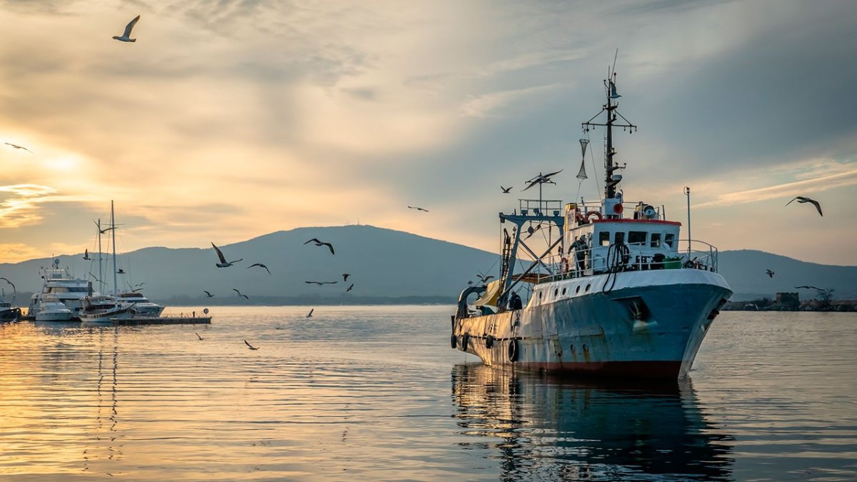 Охотское море судно