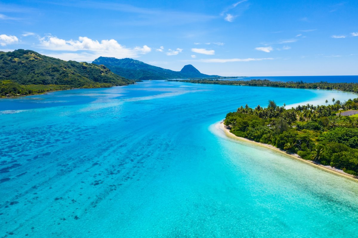 Polynesia 71946-44