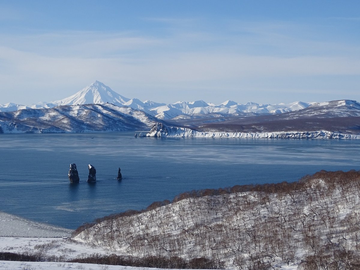 Петропавловск-Камчатский Авачинская бухта