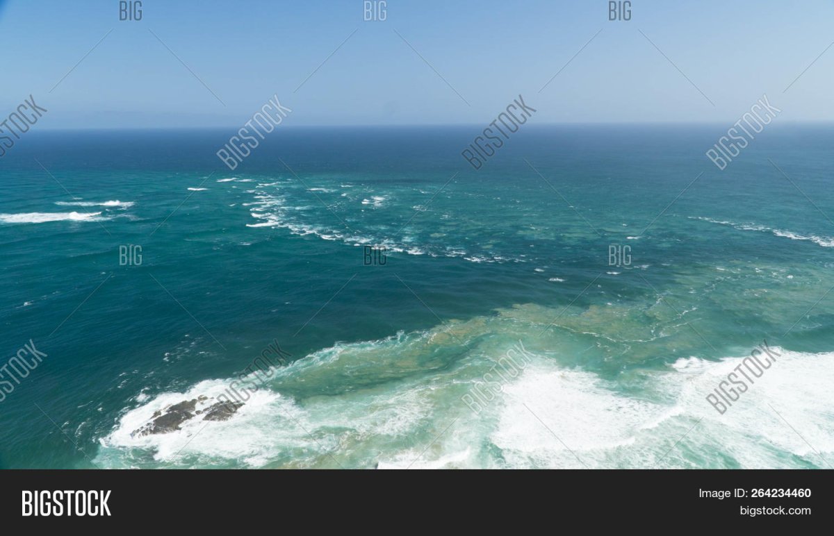 Тасманово море моря Тихого океана