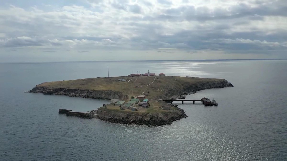 Остров змеиный в черном море