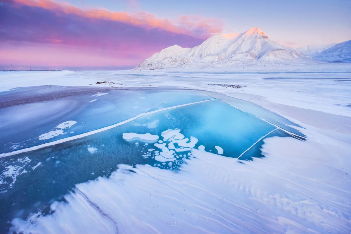 Arctic Ocean Winter Love (Single)