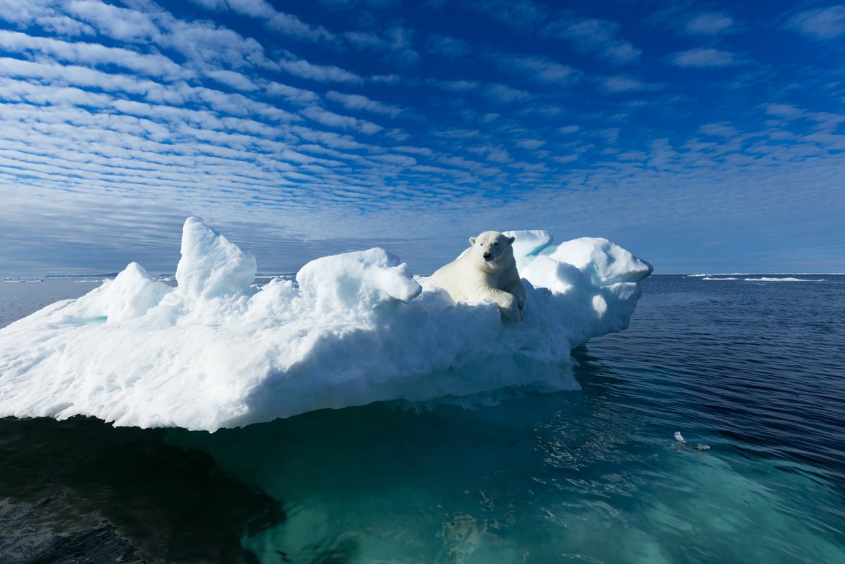 Арктические моря