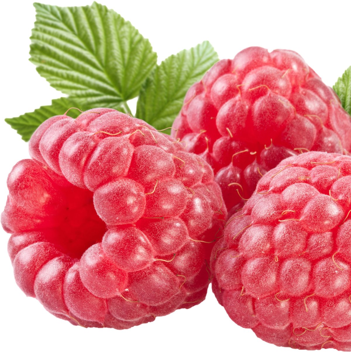 Малина Raspberry