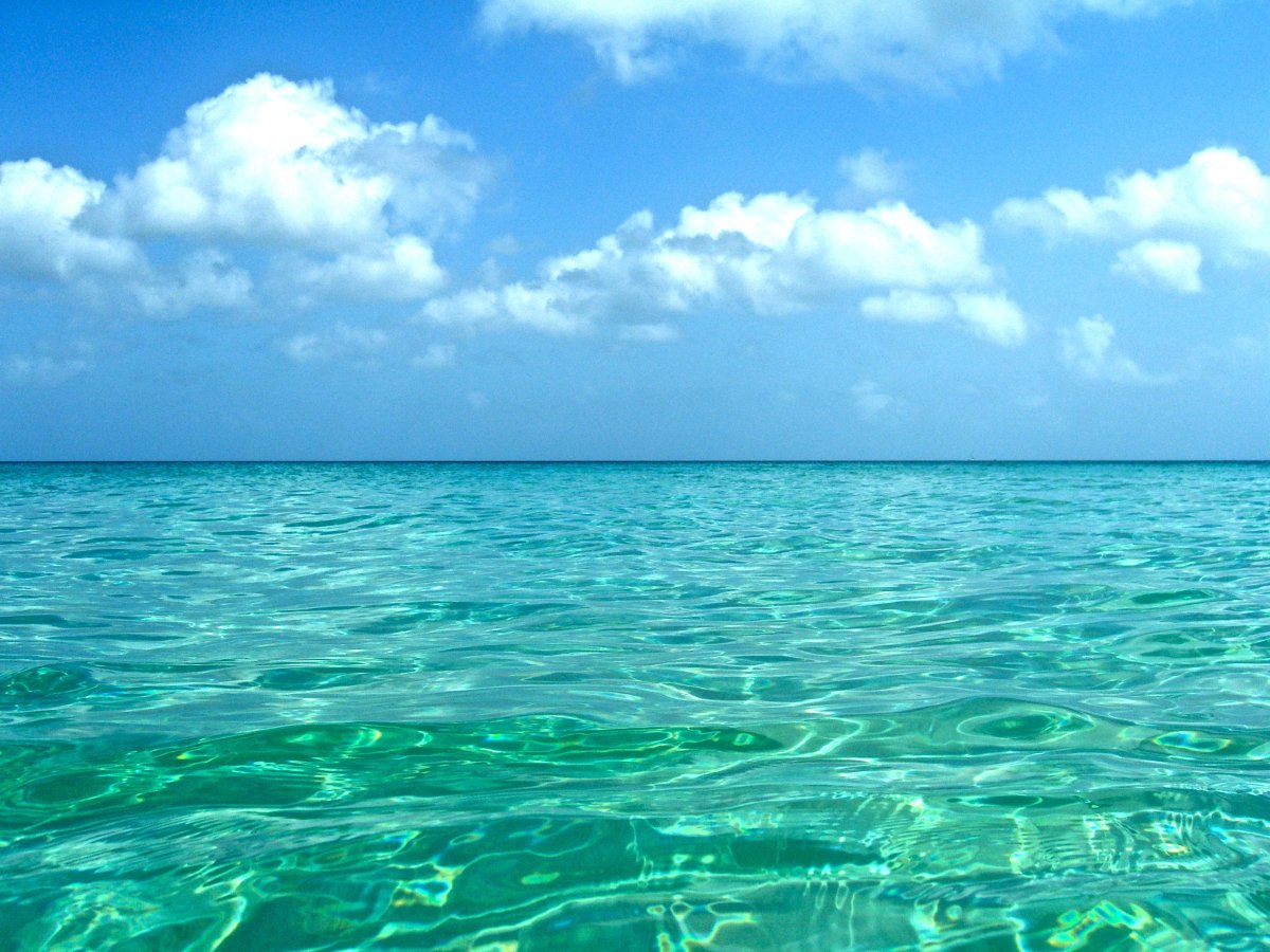 Прозрачное море
