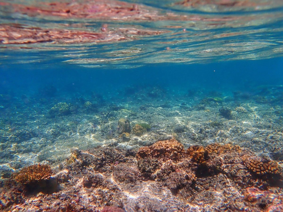 Красное море индийский океан