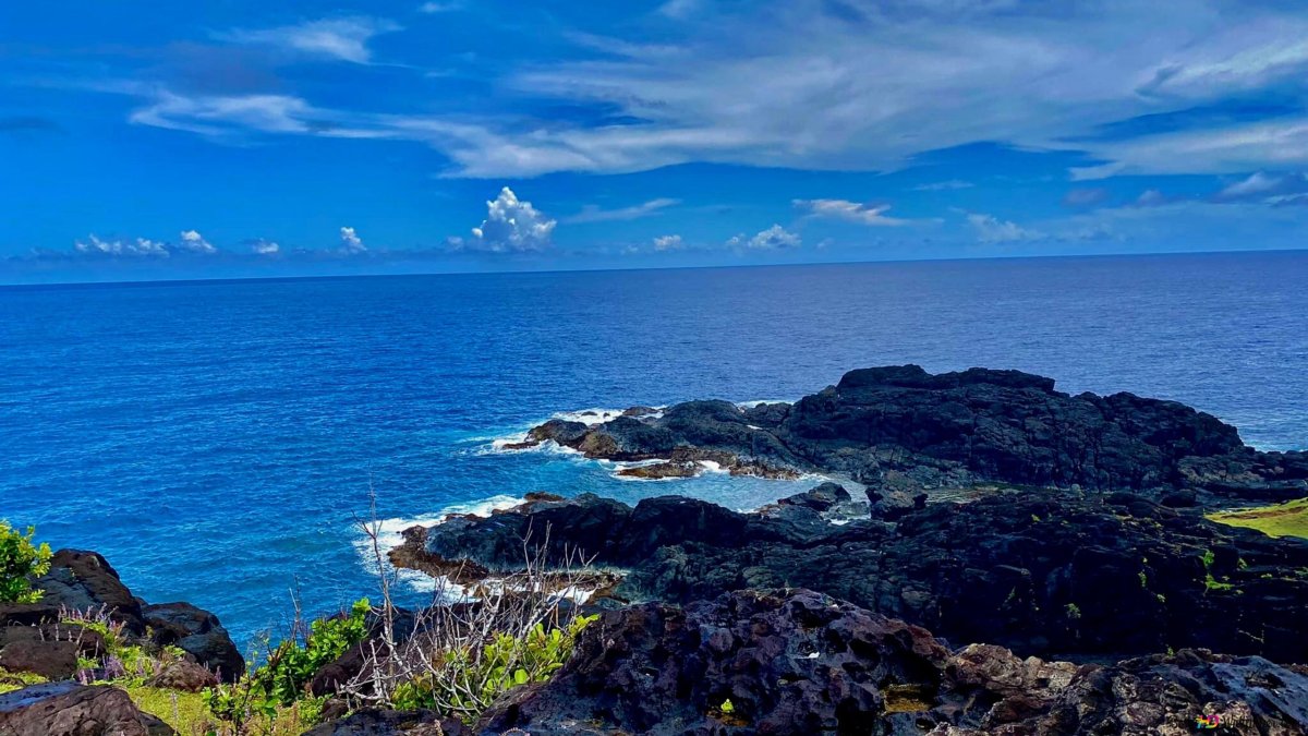 Trimay Blue Ocean Biome