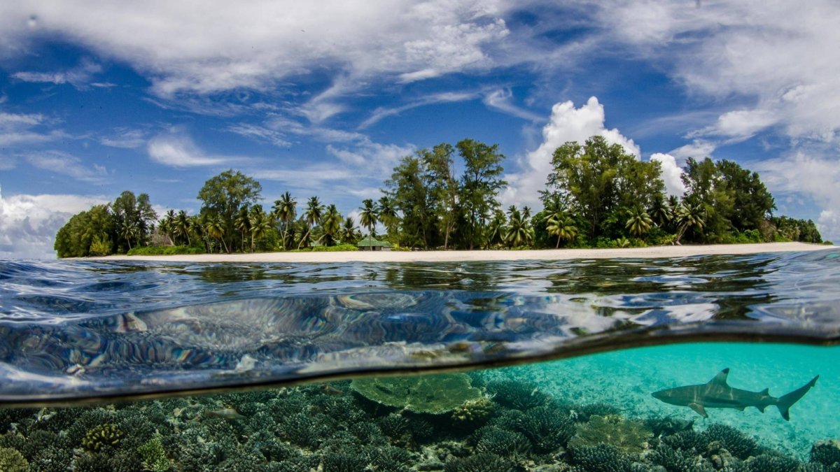 Прозрачная вода