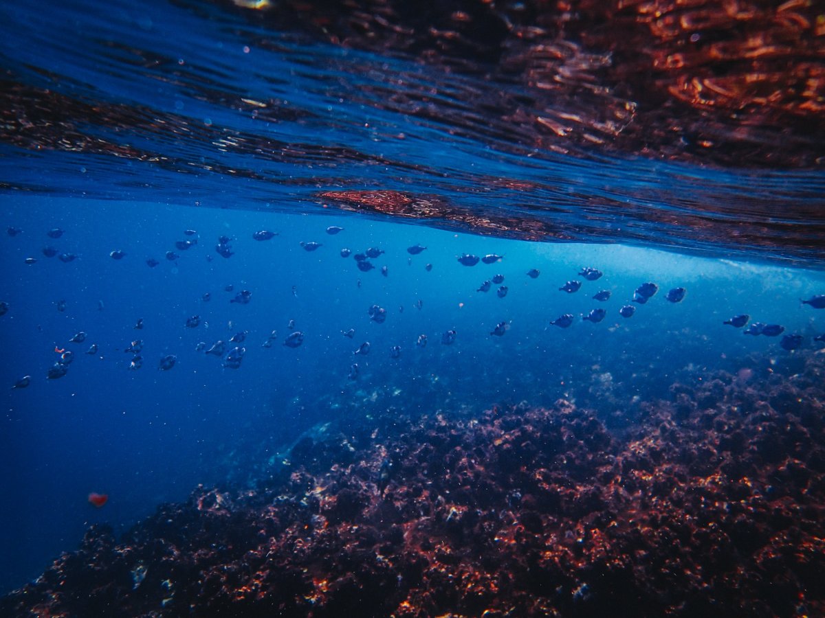 Море под водой