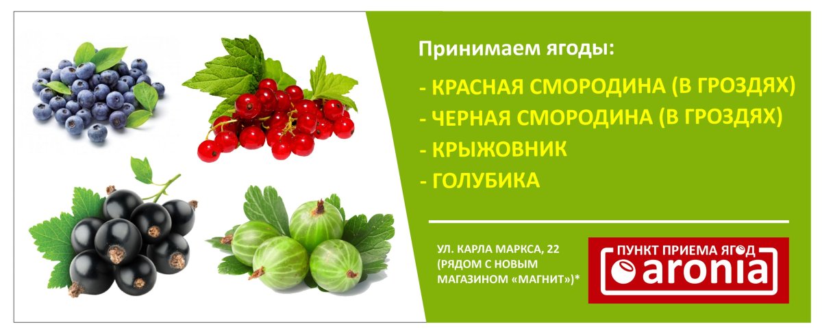 Приём ягод баннер