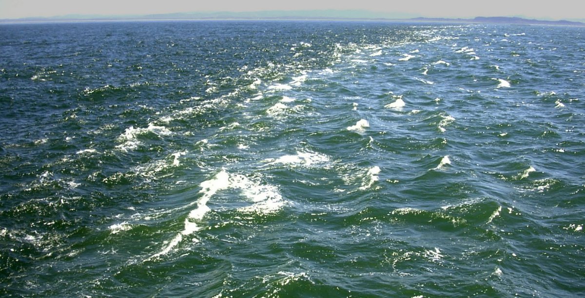 Границы морей