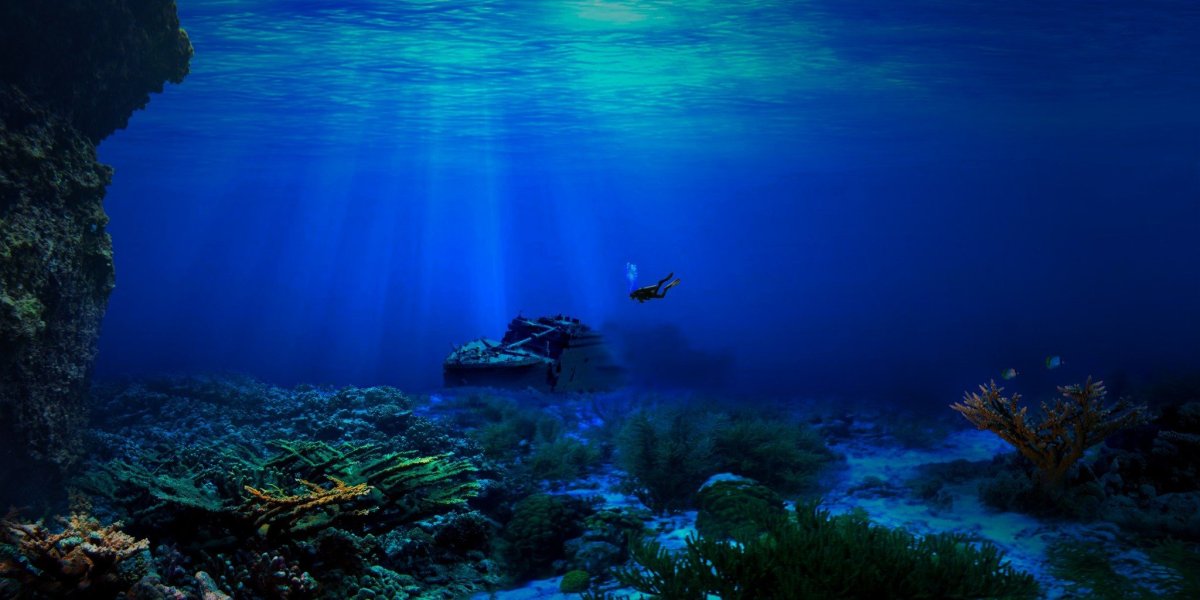Дно моря