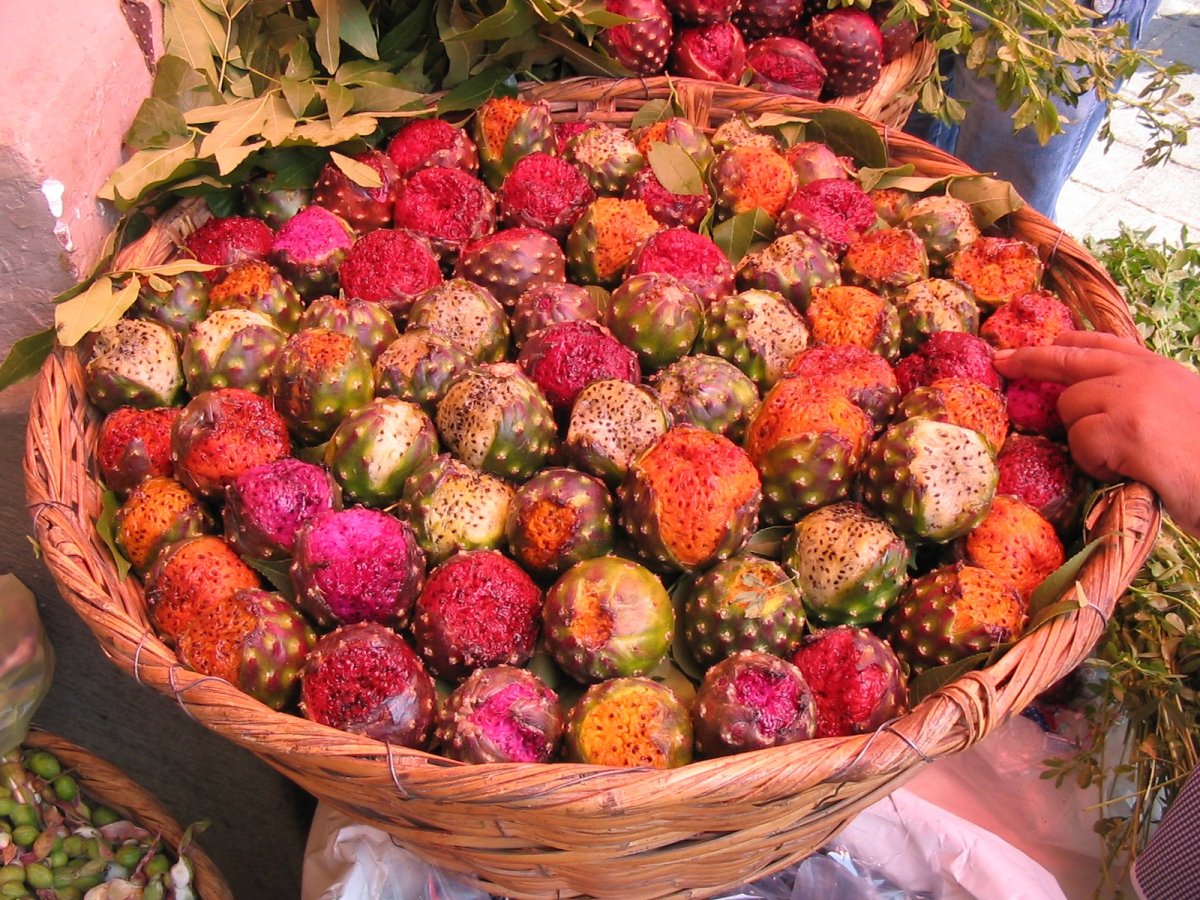 Pitaya Мексиканская