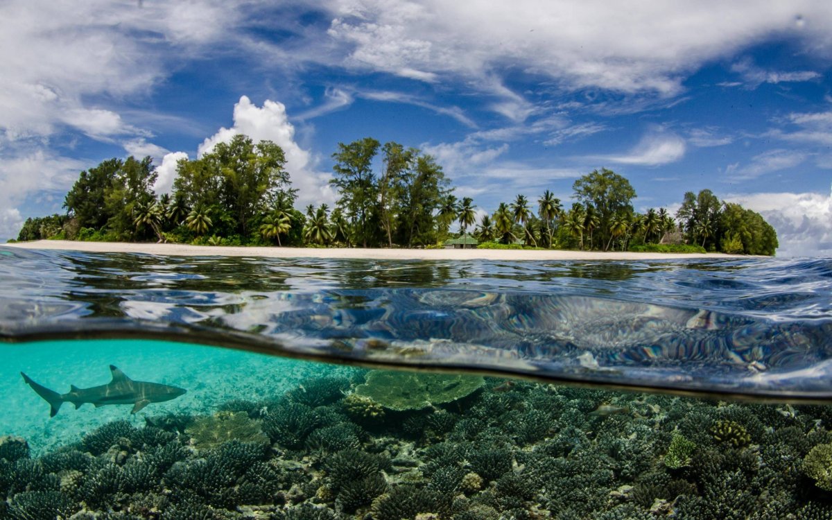 Прозрачная вода