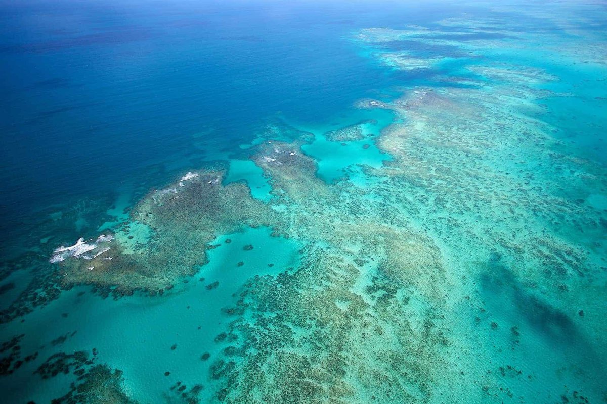 Большой Барьерный риф (the great Barrier Reef)